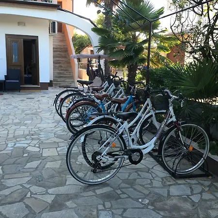 Palma Rovinj